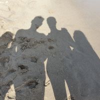 Family home nearby Amsterdam (10min by bus) in typical dutch village