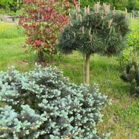 La maison d'Isabelle