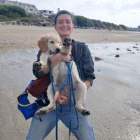 Maisonnette entre forêt et rivière