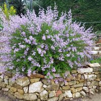 La chambre privée de Anne Marie