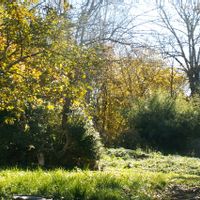 La maison de Céline et Tristan