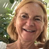 La maison de Josy, entre chênes et pins.