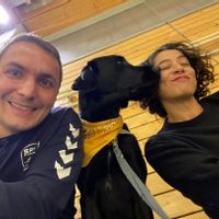 Lyon Monplaisir: chambre privée de 15m2 avec SDB dans grand appartement lumineux.