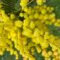 La maison du bonheur