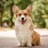 La maison de Delphine