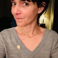 Grande maison au calme à 500 m de Lyon. Champagne-au-Mont-d’Or.