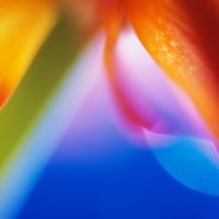 La maison de Magali et Emilien