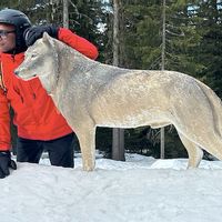 La maison de Audrey et Stéphane