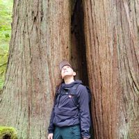 La maison de Harmony