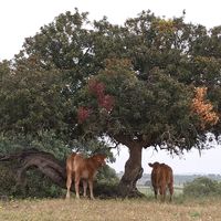 La maison de MARÍA & EDUARDO