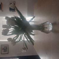 Ingrid's house
