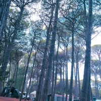 Camera privata di Marianna