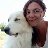 toi et moi.  Notre maison est en plein coeur des vignes au calme, et à côté des attraits touristique