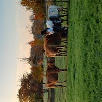 la maison des Ceillier