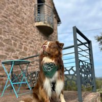 Appartement de Virginie