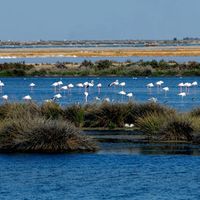 La maison de ADRIANA