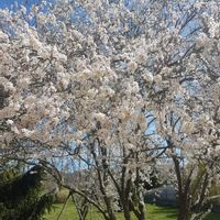 La chambre privée de Laurent