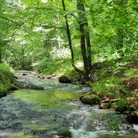 Casa de Casa de Valle y Mikel