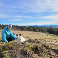 L'écrin de verdure et son panorama