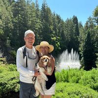 Olympic’s view escape in Seattle