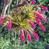 La maison de Catalina Ines & Joan