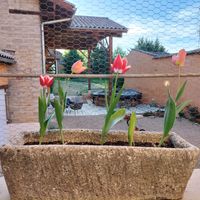 Maison ancienne av piscine à 100 m du Beaujolais/50 min de Lyon/20min de Macon (séjour mini 3 nuits)