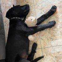 Edgar's private room
