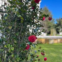 Le Manoir de la Ronde