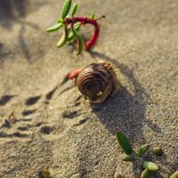 Maison entourée de bois aux portes de Brest