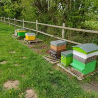 Maison en bordure de forêt