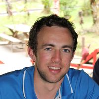 Aux champs des oiseaux