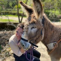 L’appartement du soleil levant, baignade à 5 min à pieds