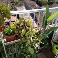 La maison de Joachim