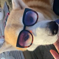 La maison de Guillaume et Sarah