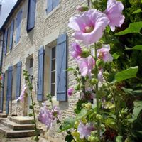 La maison de Albane / Albane's home sweet home