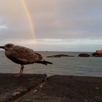 La maison de Sebastien, aux portes de Saint Malo