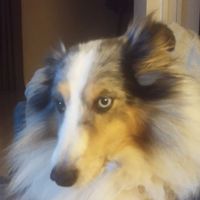 La chambre privée de Nicolas