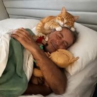 Piso céntrico con 3 dormitorios junto al rio y las torres de Serrano y los jardines del real