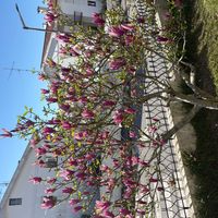 Casa de Henrique e Emely