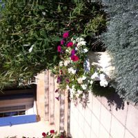 La chambre privée de Monique