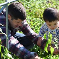 Chalet Baille en Haute Vallée de la Clarée