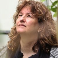 CHÂTEAUX DE LA LOIRE  maison près de Chambord, Chenonceau et Cheverny