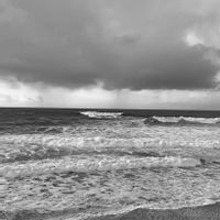 L'écurie du Saunier