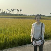 Kim family house