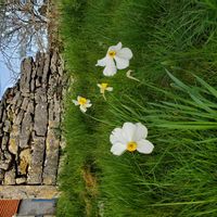 La maison de Apolline