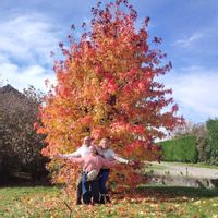 la maison de Olivier Julie et Lou