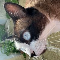 La chambre privée de Cindy