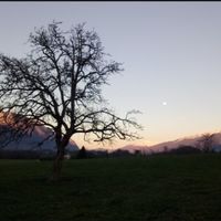 La maison de Claire et Morgan