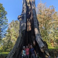 La maison de Burton & Rosemary