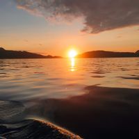 La maison de rodrigo